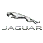 12.png.webp